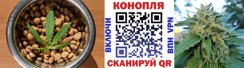 Cannafood конопля  kraken зеркало  Циолковский  наркота 
