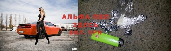 мдпв Козельск