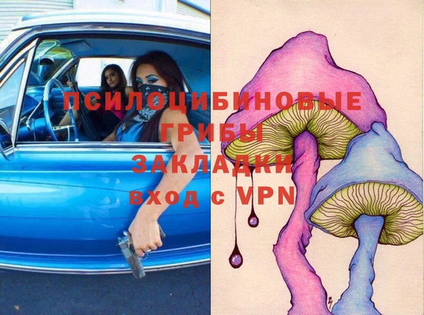 мдпв Козельск