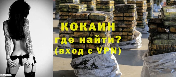 мдпв Козельск