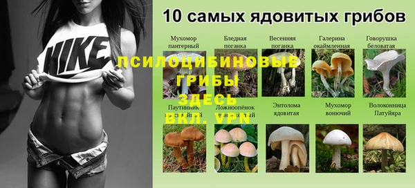 кристаллы Кодинск