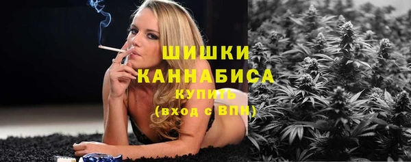 мдпв Козельск