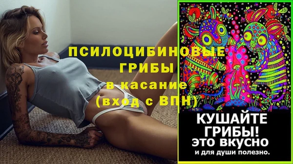 мдпв Козельск
