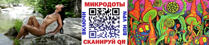 купить наркотики цена  Циолковский  нарко площадка состав  Псилоцибиновые грибы мицелий 